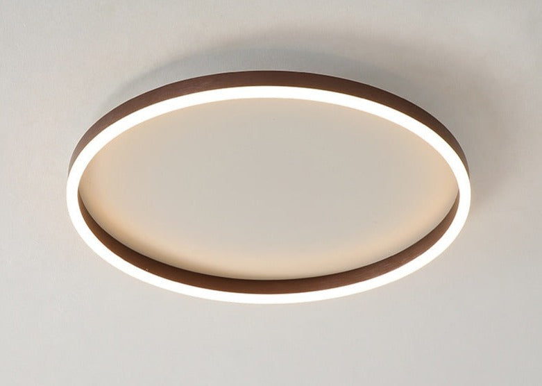Modern LED Ceiling Lamp for Living Room and Bedroom