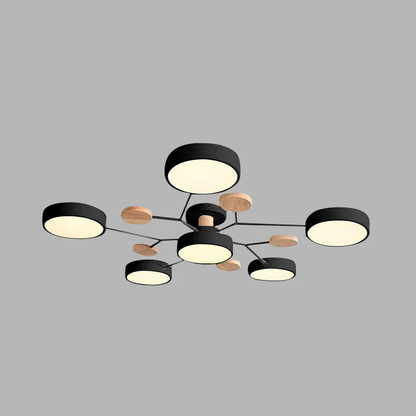 Iron LED Chandelier 9