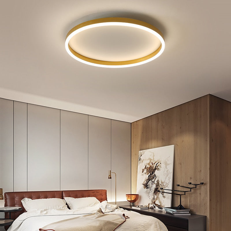 Ceiling lights